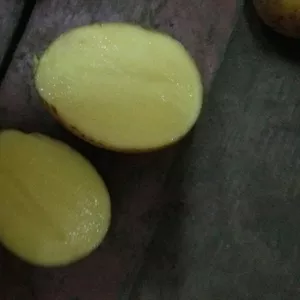 Продовольственный и семенной картофель оптом.