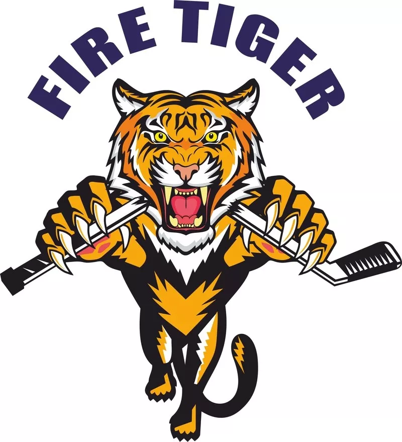 Хоккейные сборы FIRE TIGER 5